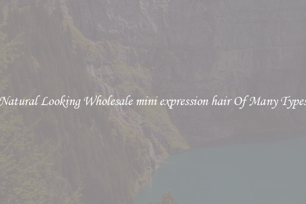 Natural Looking Wholesale mini expression hair Of Many Types