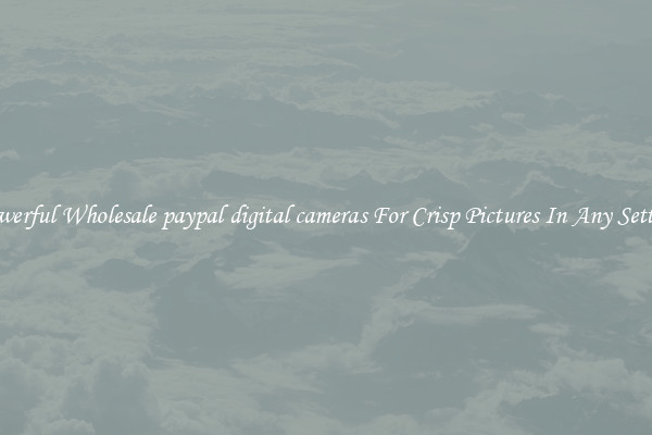 Powerful Wholesale paypal digital cameras For Crisp Pictures In Any Setting