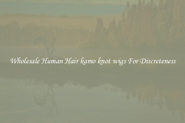 Wholesale Human Hair kamo knot wigs For Discreteness
