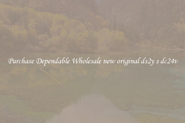 Purchase Dependable Wholesale new original ds2y s dc24v
