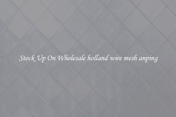 Stock Up On Wholesale holland wire mesh anping