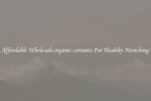 Affordable Wholesale organic currants For Healthy Munching 