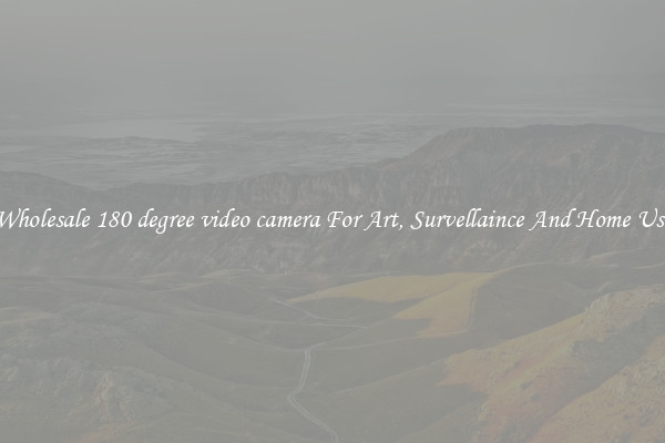 Wholesale 180 degree video camera For Art, Survellaince And Home Use