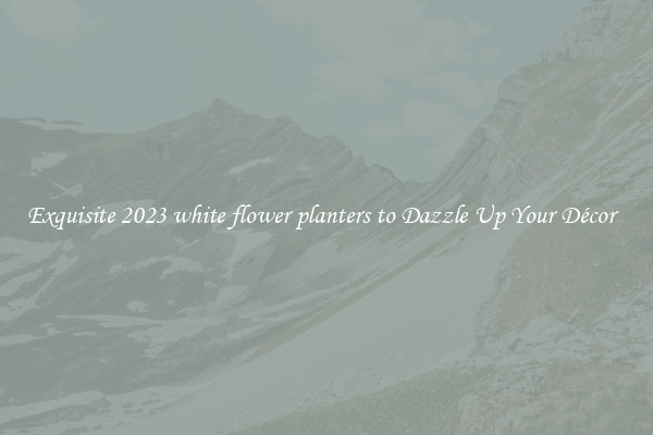 Exquisite 2023 white flower planters to Dazzle Up Your Décor  