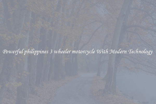 Powerful philippines 3 wheeler motorcycle With Modern Technology 