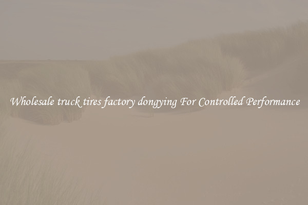 Wholesale truck tires factory dongying For Controlled Performance