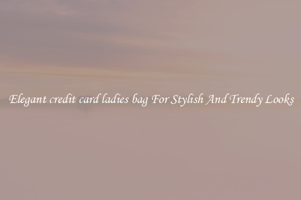 Elegant credit card ladies bag For Stylish And Trendy Looks