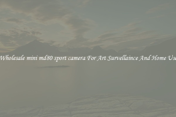 Wholesale mini md80 sport camera For Art Survellaince And Home Use