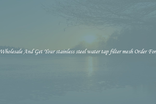 Buy Wholesale And Get Your stainless steel water tap filter mesh Order For Less