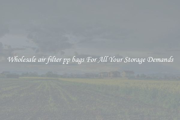 Wholesale air filter pp bags For All Your Storage Demands