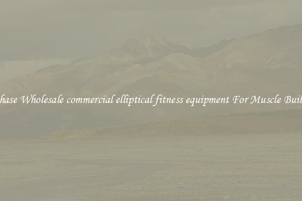 Purchase Wholesale commercial elliptical fitness equipment For Muscle Building.