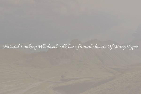 Natural Looking Wholesale silk base frontal closure Of Many Types