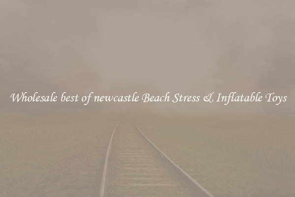 Wholesale best of newcastle Beach Stress & Inflatable Toys