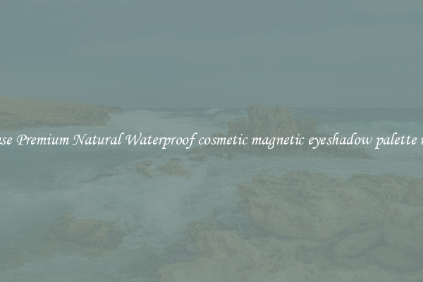 Purchase Premium Natural Waterproof cosmetic magnetic eyeshadow palette makeup