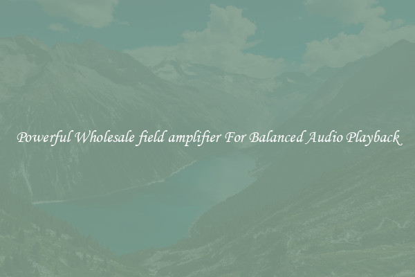 Powerful Wholesale field amplifier For Balanced Audio Playback