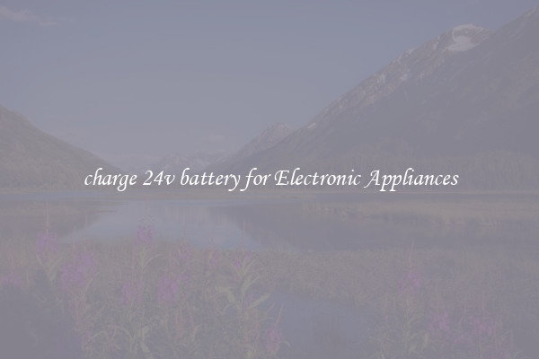 charge 24v battery for Electronic Appliances