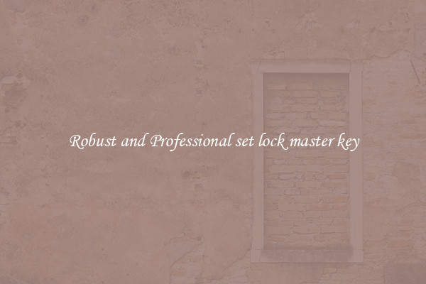 Robust and Professional set lock master key