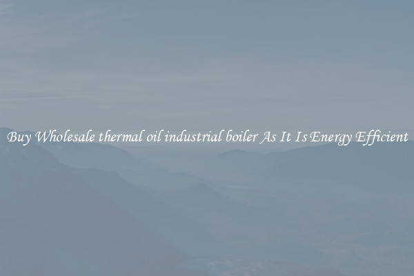 Buy Wholesale thermal oil industrial boiler As It Is Energy Efficient