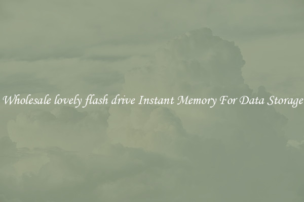 Wholesale lovely flash drive Instant Memory For Data Storage