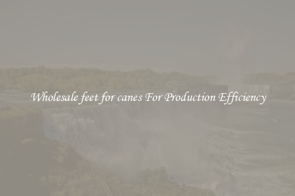 Wholesale feet for canes For Production Efficiency
