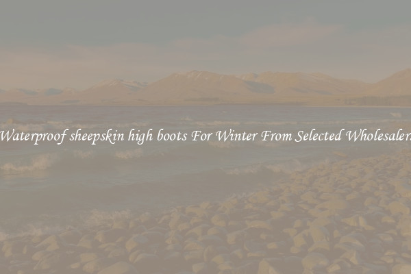 Waterproof sheepskin high boots For Winter From Selected Wholesalers